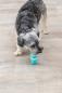 Preview: Trixie Denta Fun Knochen Hundespielzeug